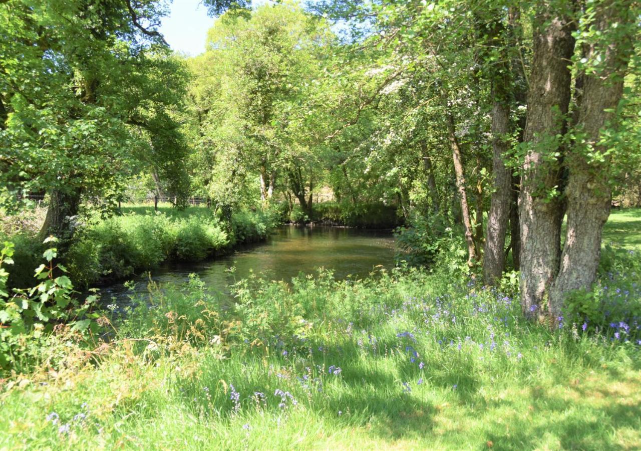 River Lodge - Cornwall Cardinham Eksteriør billede